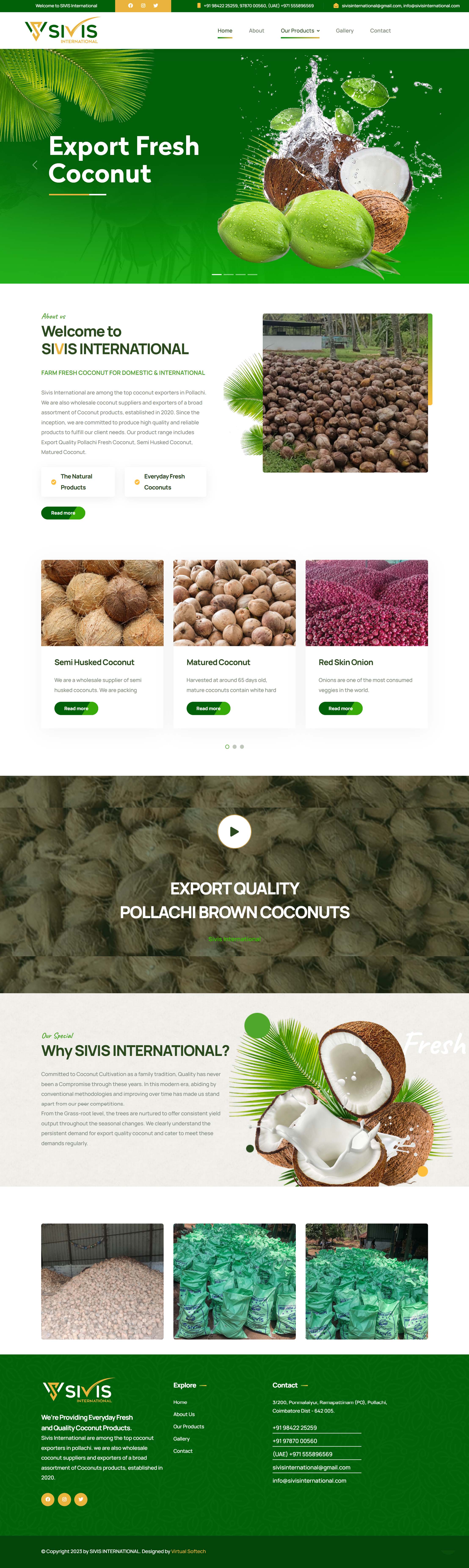 Logo Design Services in Coimbatore