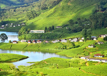 Coimbatore - Ooty - Munnar - Coimbatore