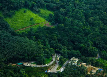 Coimbatore - Ooty - Wayanad - Coimbatore