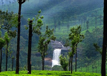 Coimbatore - Valparai - Coimbatore