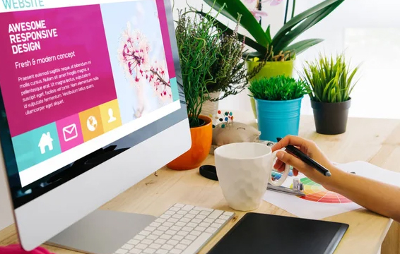 Web Design & Development Company in Coimbatore,Tamilnadu